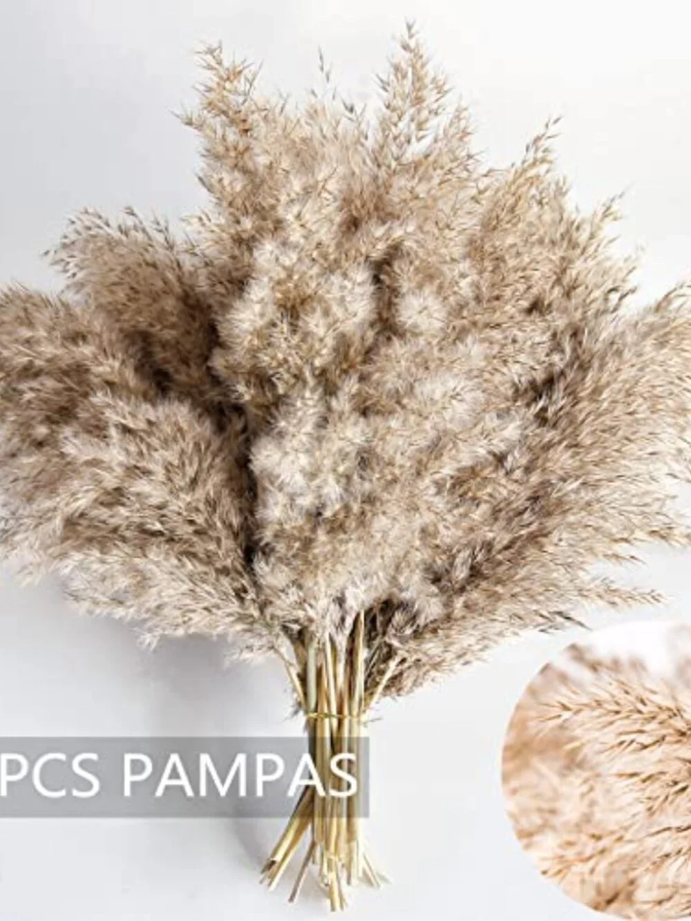 New Pampas Grass Decor, Natural Dry Pampas Grass Small, Short Pampass Bulk - Picture 3 of 7